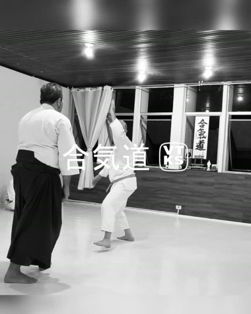 #aikido #defesapessoal #inteligenciaemocional #atividadefisicainfantil