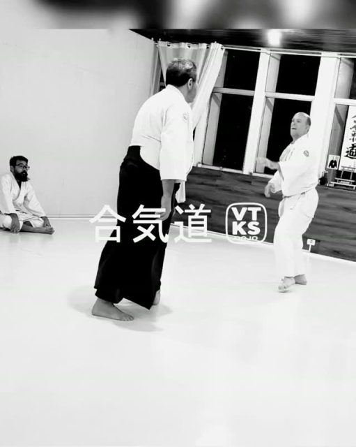 #aikido #defesapessoal #inteligenciaemocional #atividadefisicainfantil