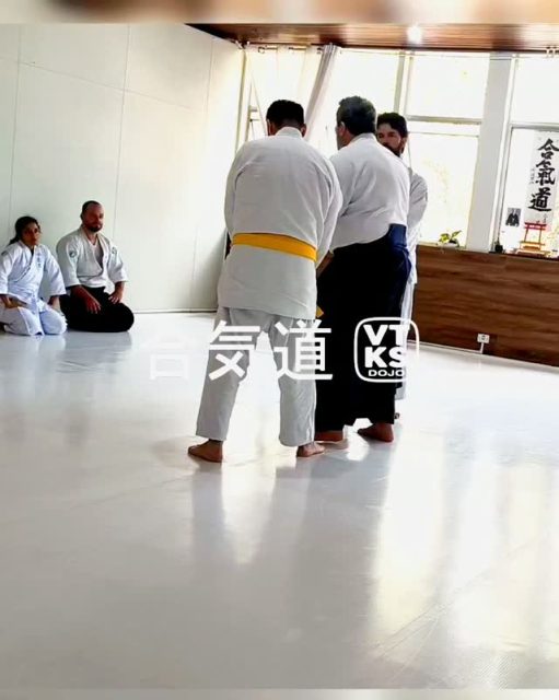 #aikido #defesapessoal #artemarcial #atividadefisicainfantil #lideranca
